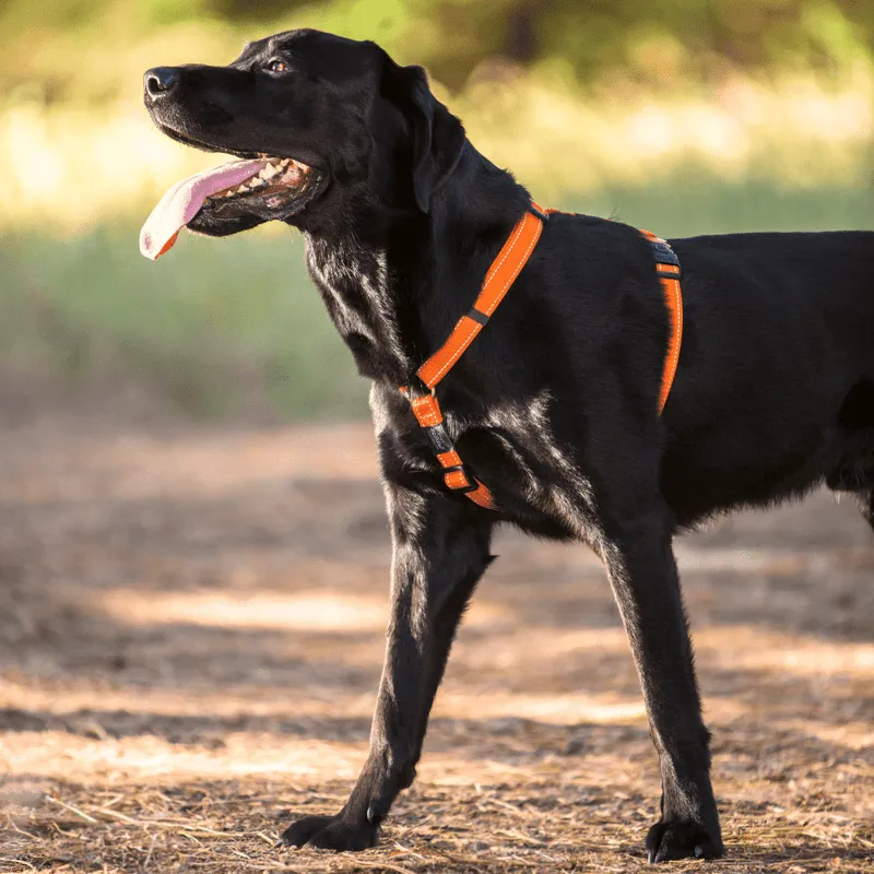 Rogz Utility Classic hundesele justerbar
