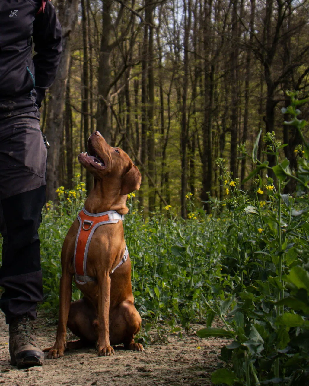 Hurtta Venture No-Pull hundesele Shadow 45-60 anti-træk