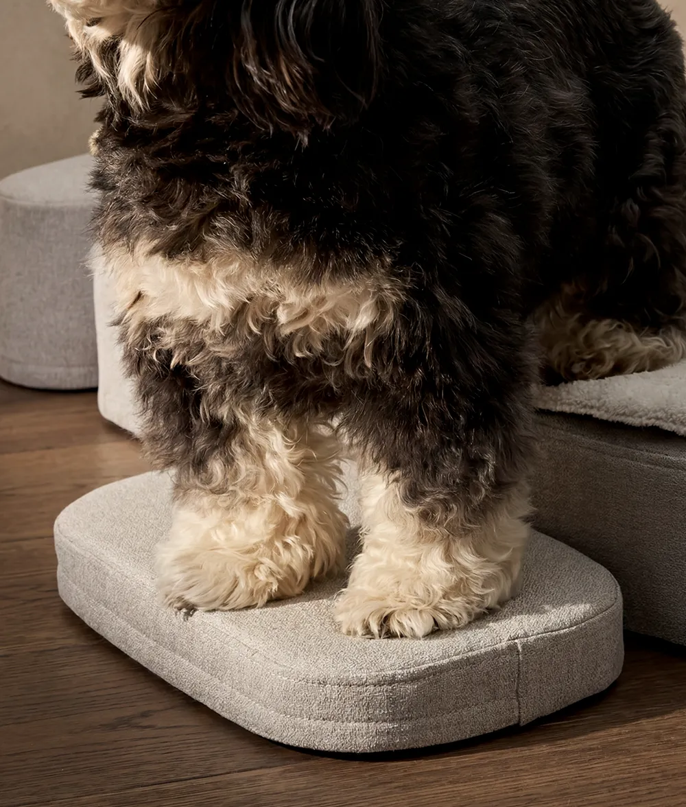 Cafide Soma ortopædisk hundeseng memory foam