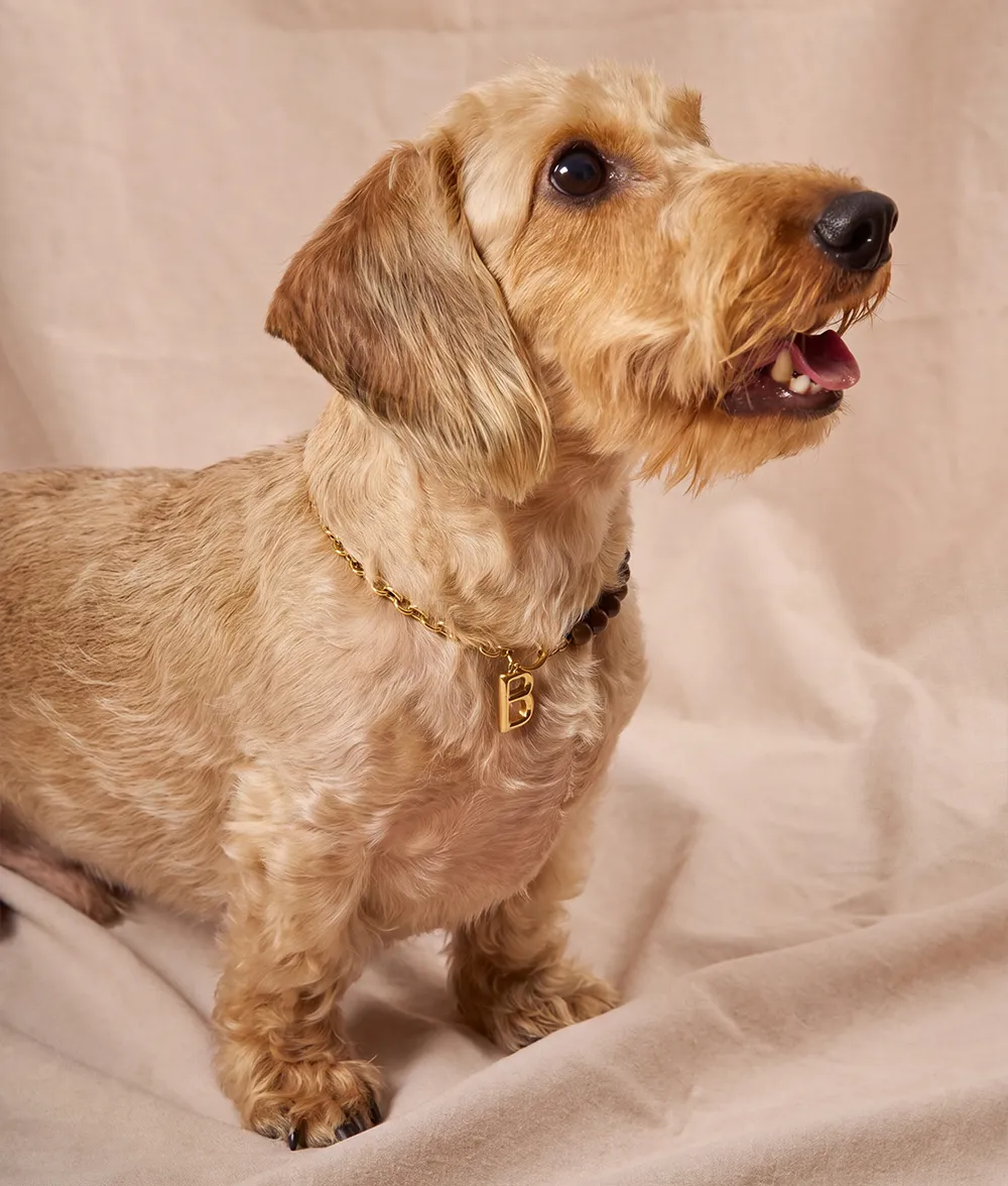 Cafide Sira hundehalsbånd guld træ bogstav