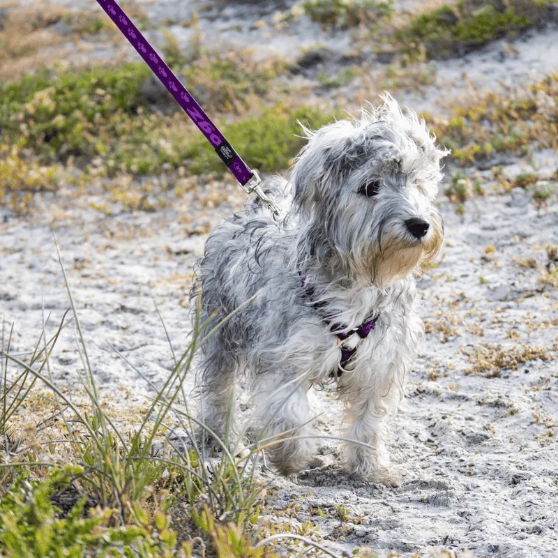 Rogz Alpinist Classic hundesnor slidstærk