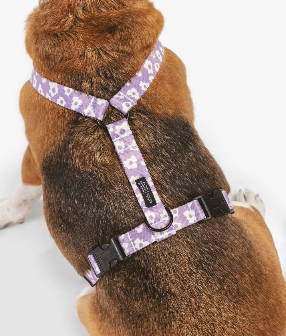 Cafide Juno hundesele violet genbrug