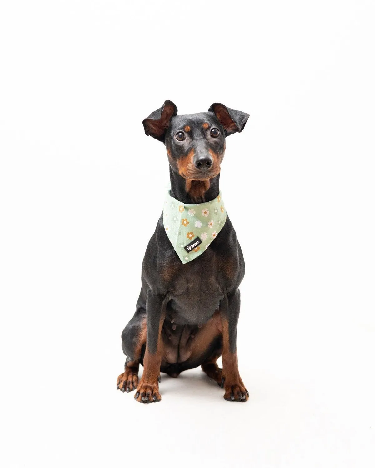 Tazz Flower Power bandana grøn blomstret M