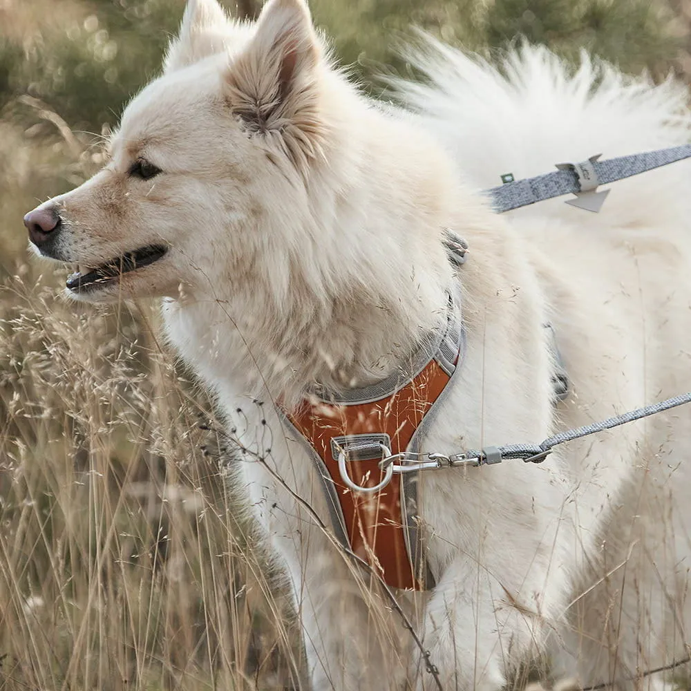 Hurtta Venture No-Pull hundesele Shadow 45-60 anti-træk