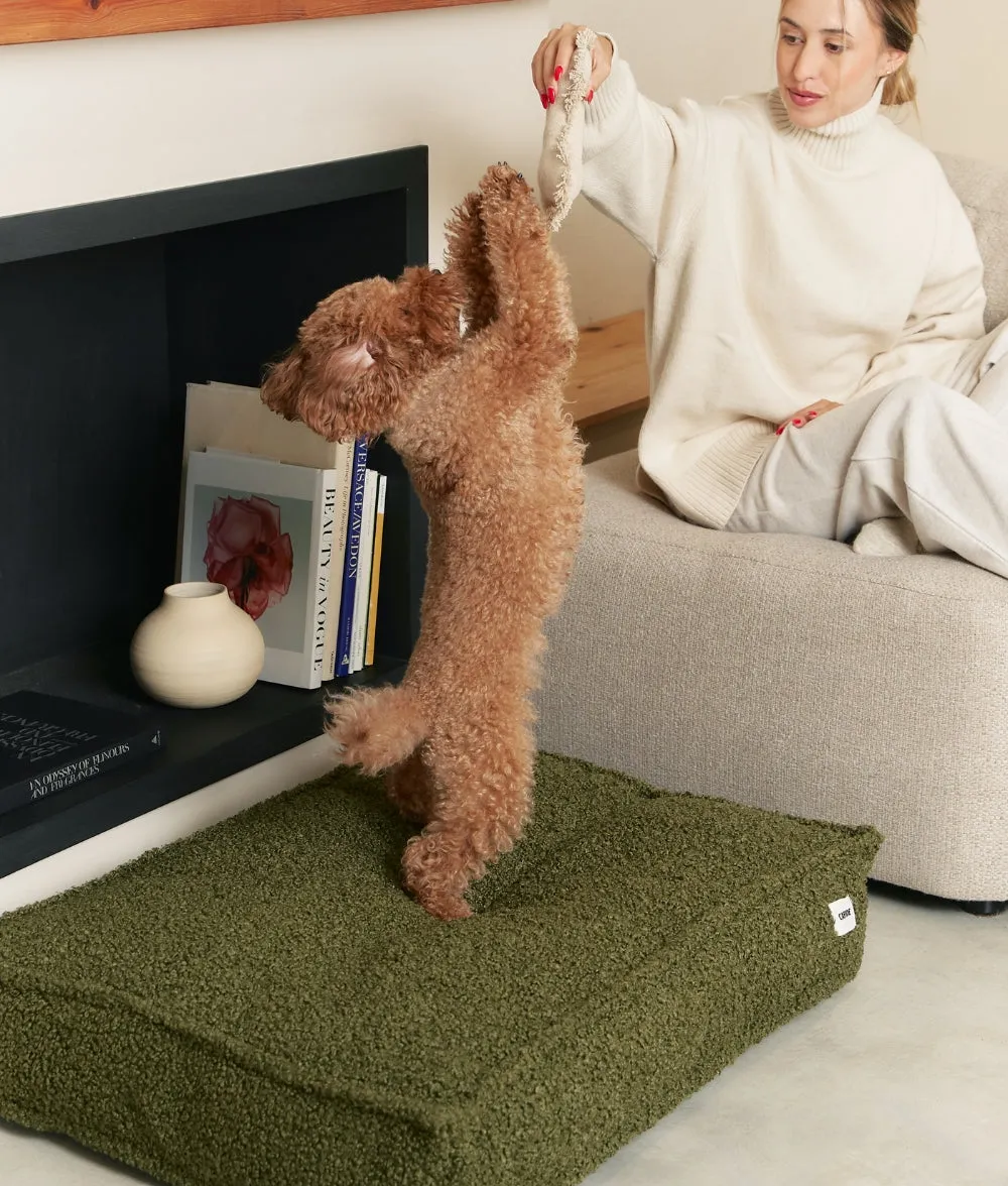 Cafide Cuadra Green Fleece hundeseng grøn plys