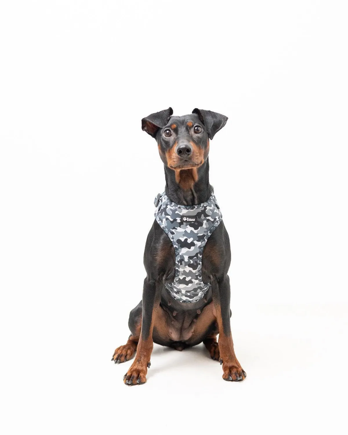 Tazz Grey Camo hundesele grå justerbar