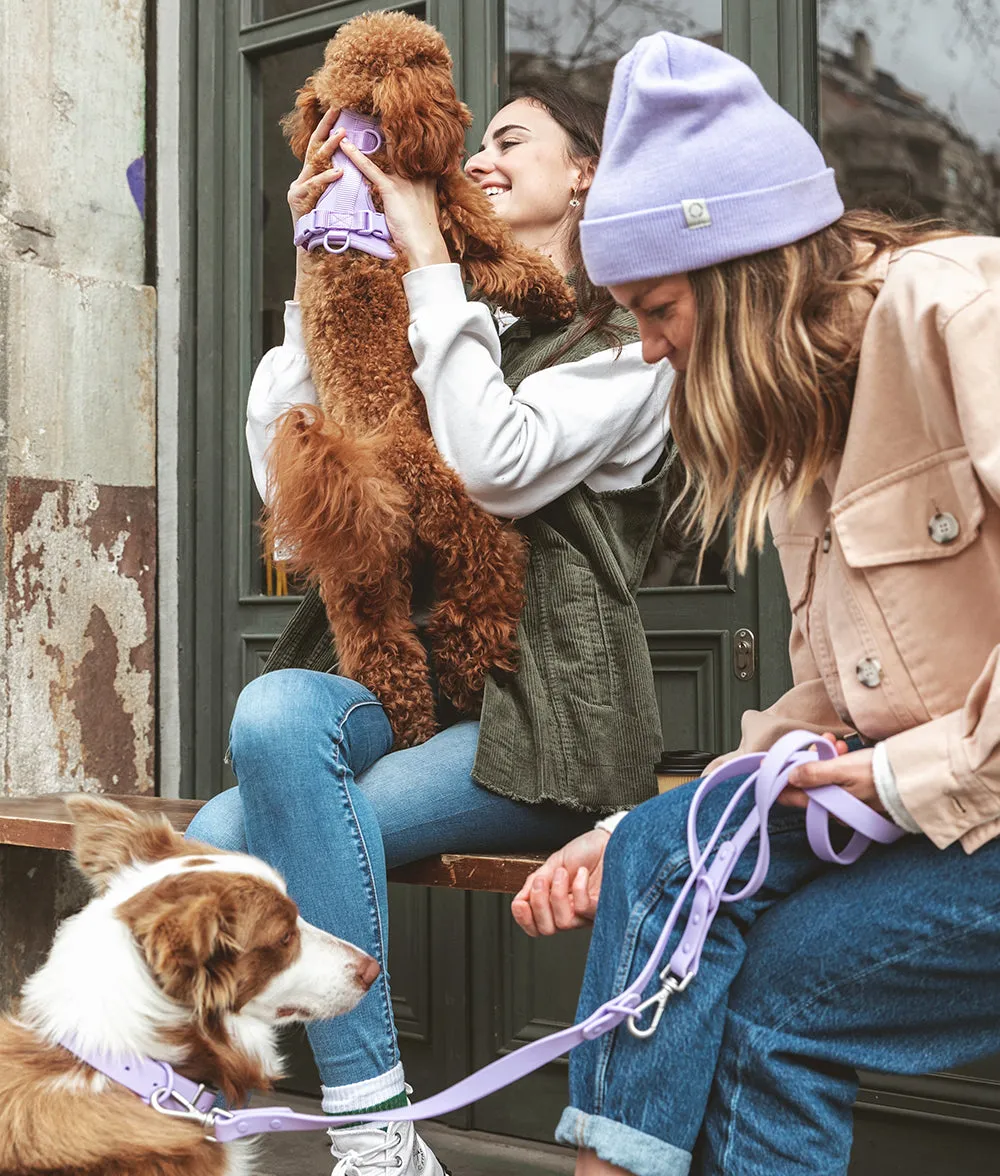 Cafide Gala hundehalsbånd violet blødt
