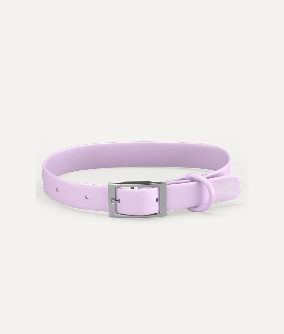 Cafide Gala hundehalsbånd violet blødt