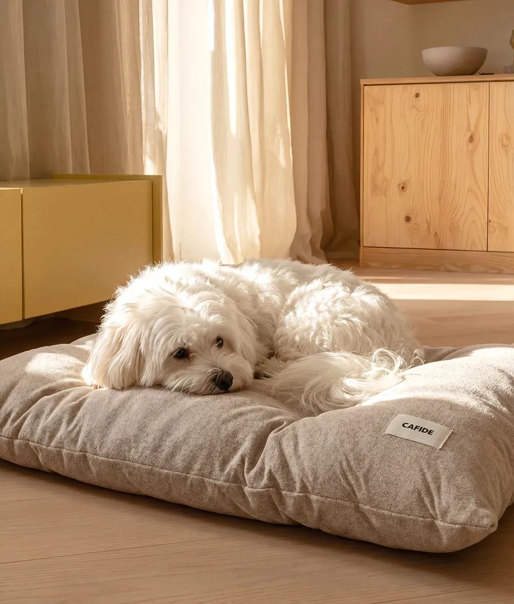 Cafide Bela hundepude beige vaskbar