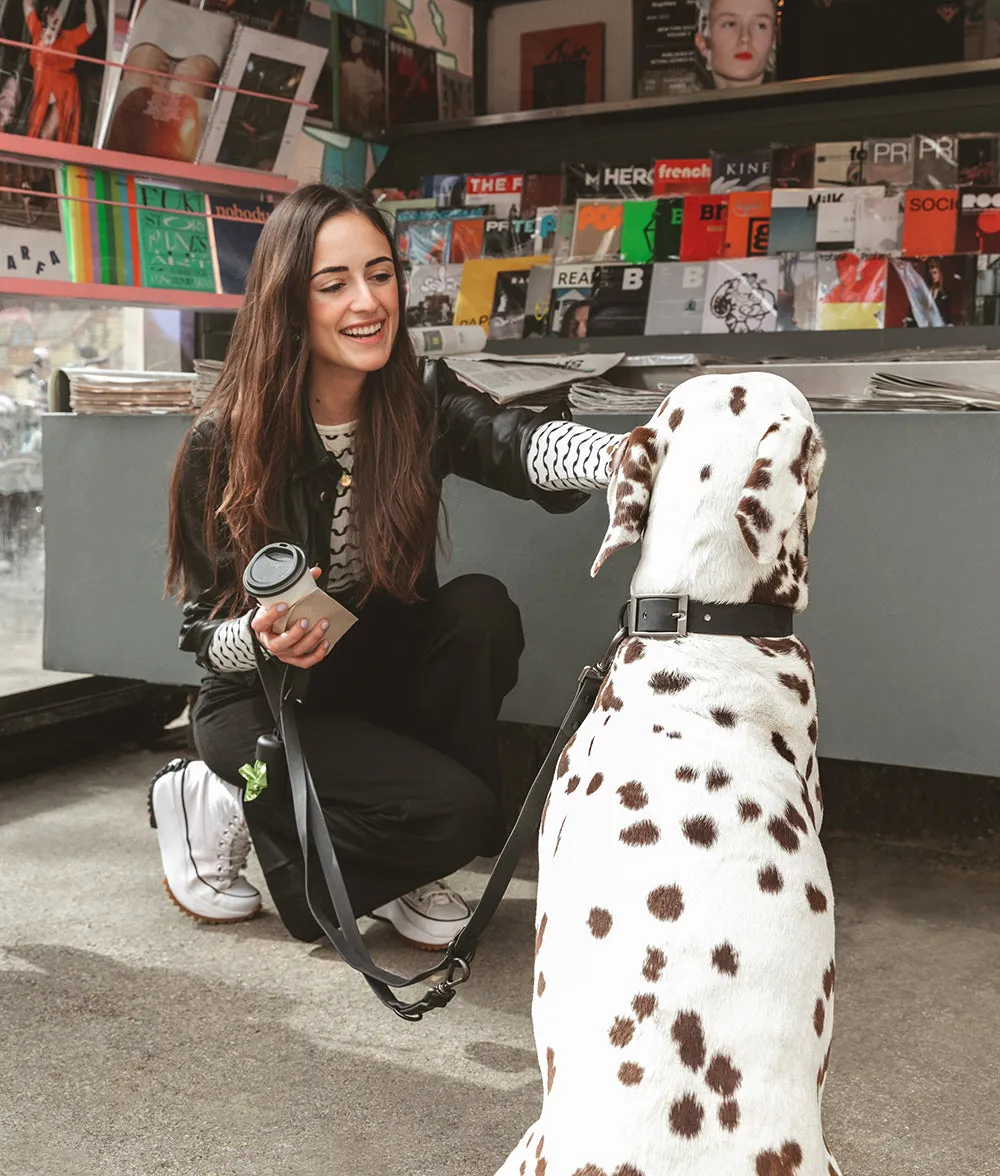 Cafide Gala hundehalsbånd sort M justerbart