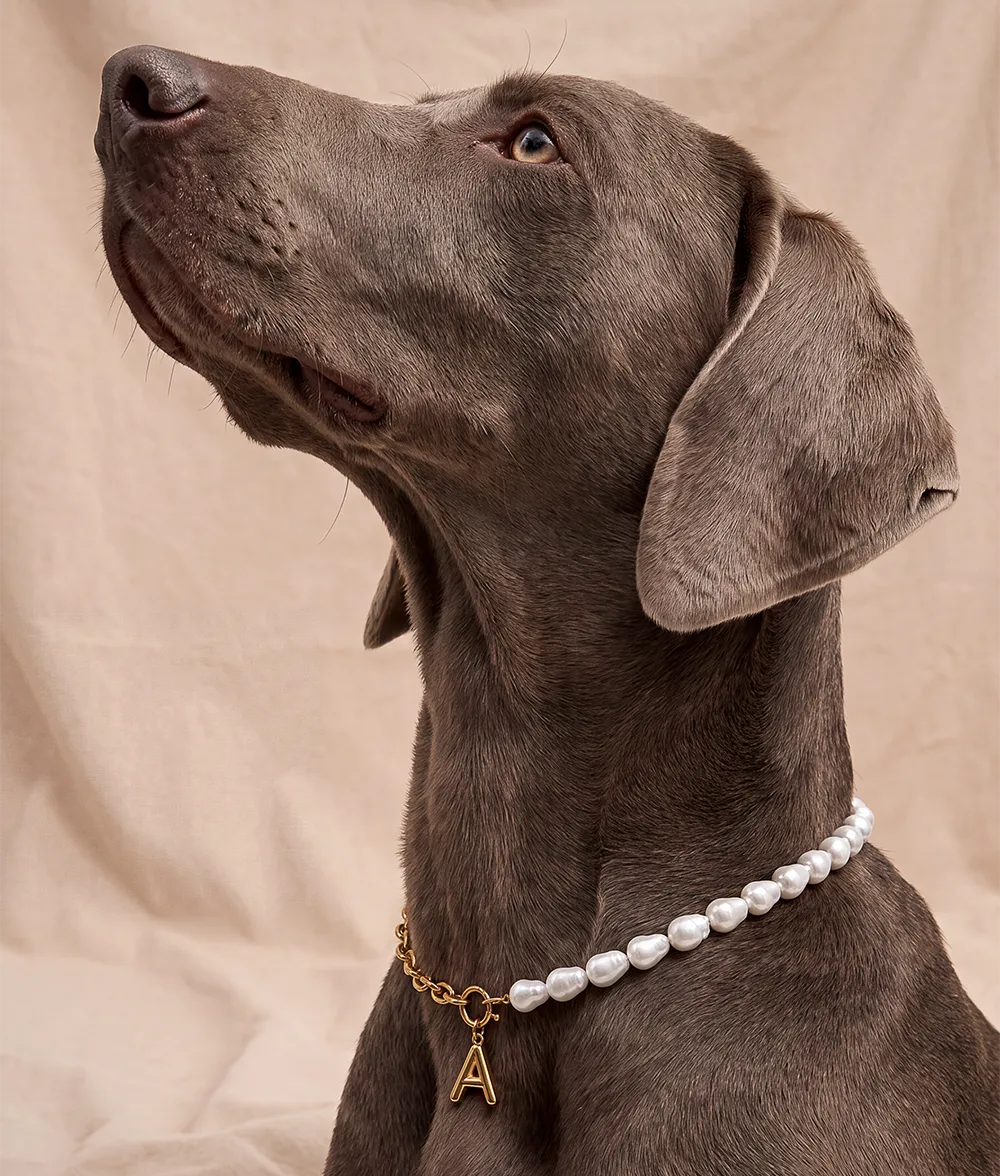 Cafide Sira Sira hundehalsbånd guld perler bogstav