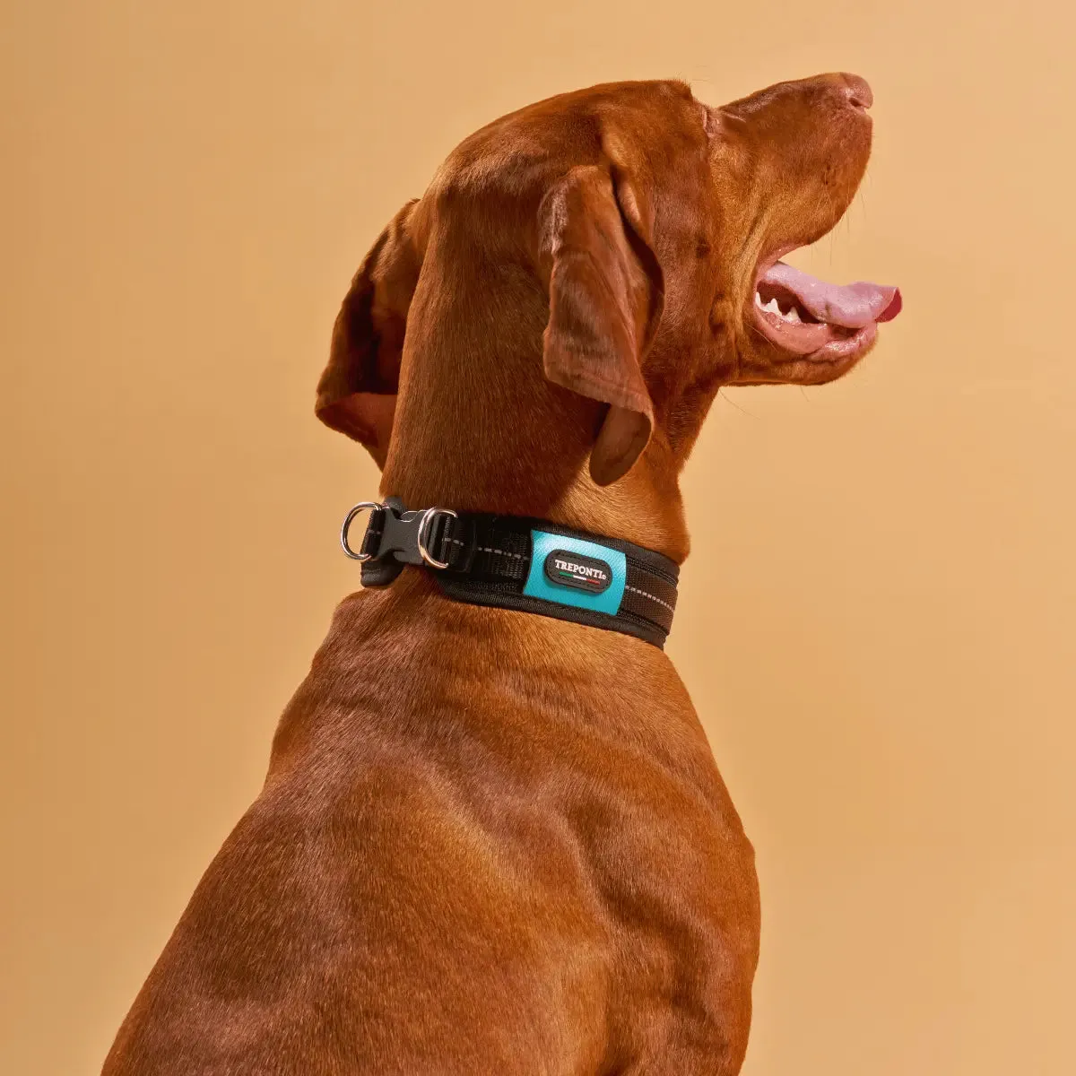 Tre Ponti Will hundehalsbånd Arctic Blue polstret