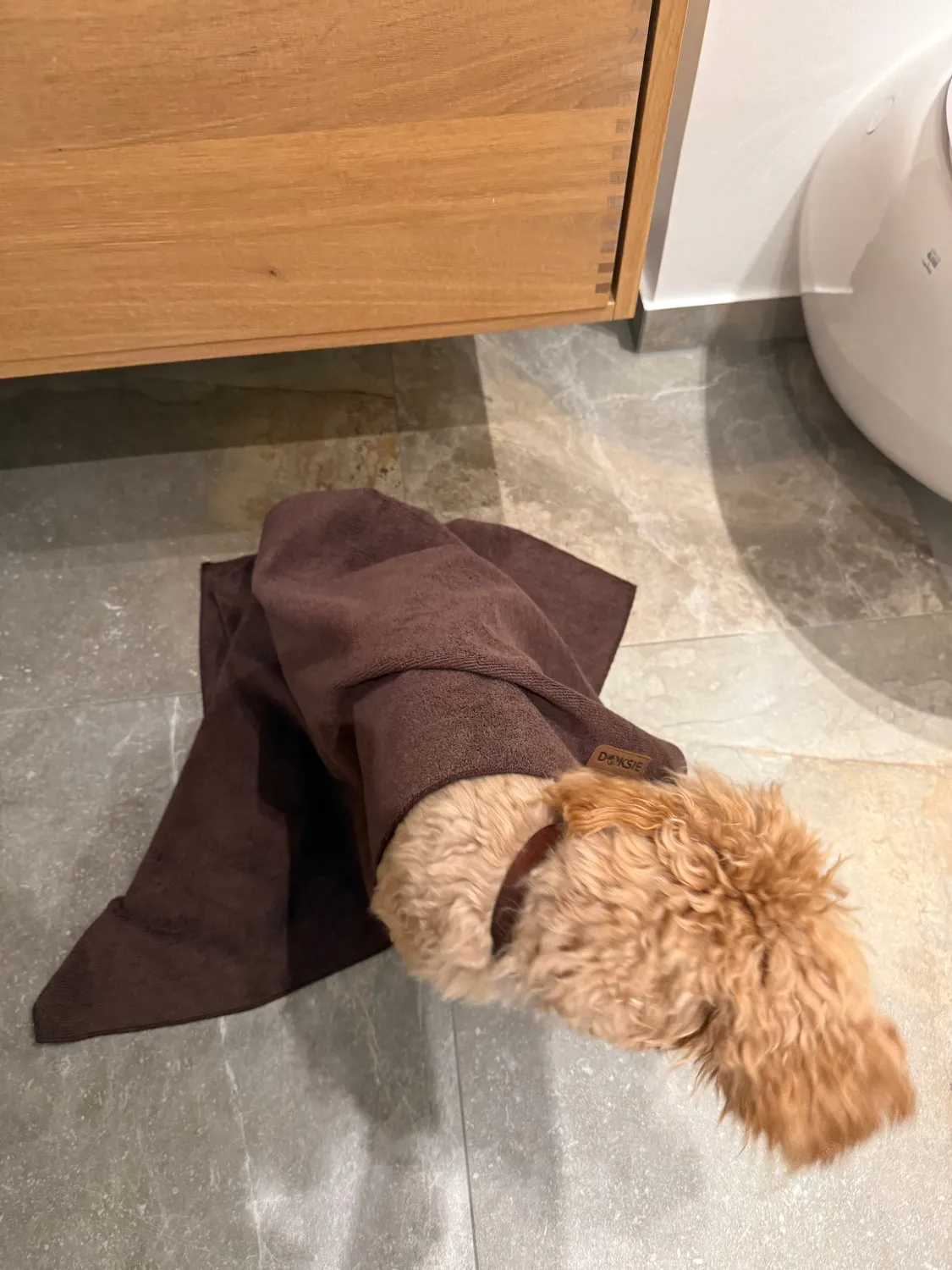Doksie Towel 01 hundehåndklæde mikrofiber stor