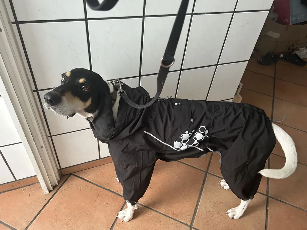 Hurtta Mudventure hundeoverall raven vandtæt