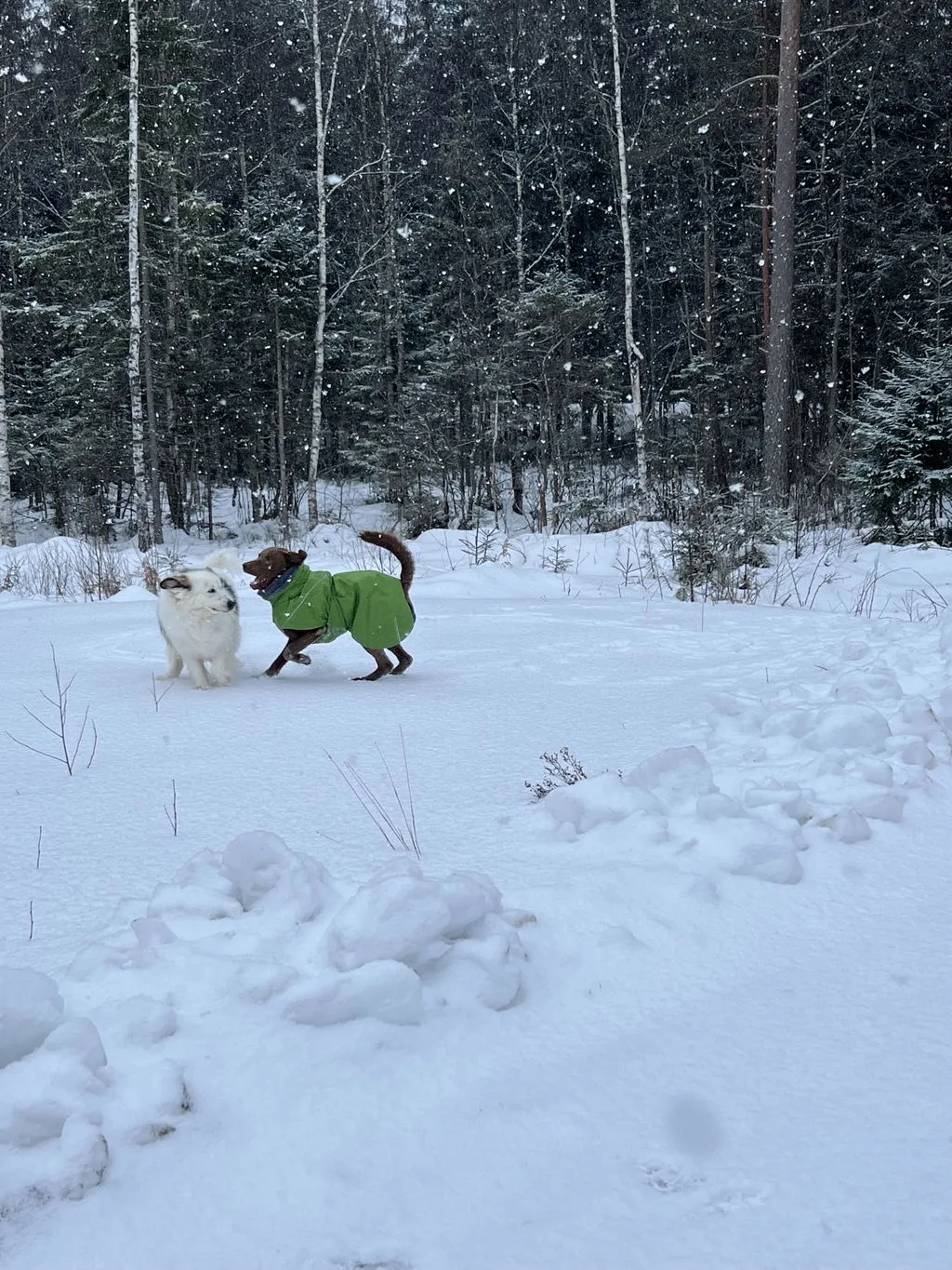 Hurtta Expedition Parka II hundejakke forest foret