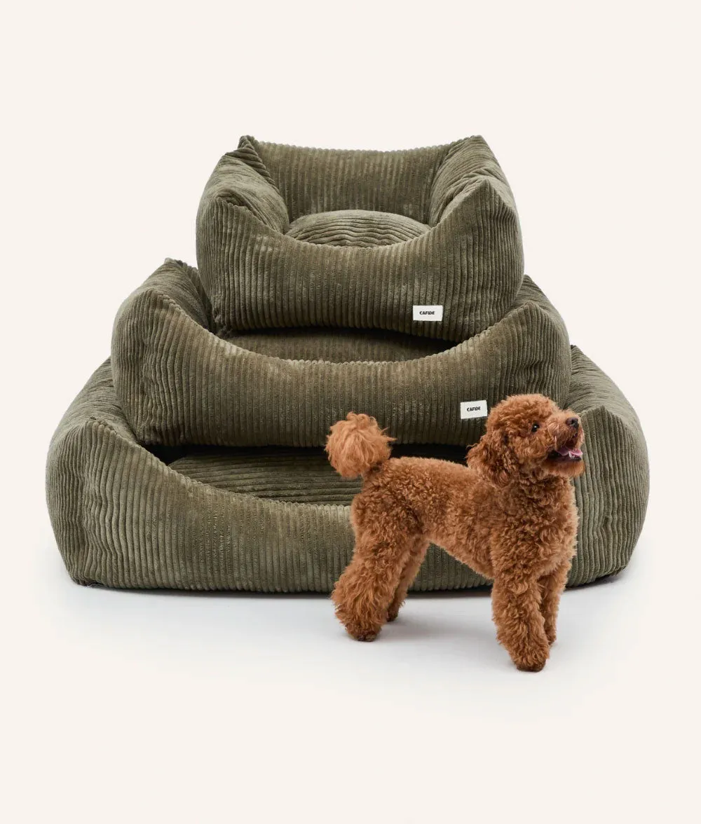 Cafide Snozy hundeseng grøn fløjl S 56x50x18