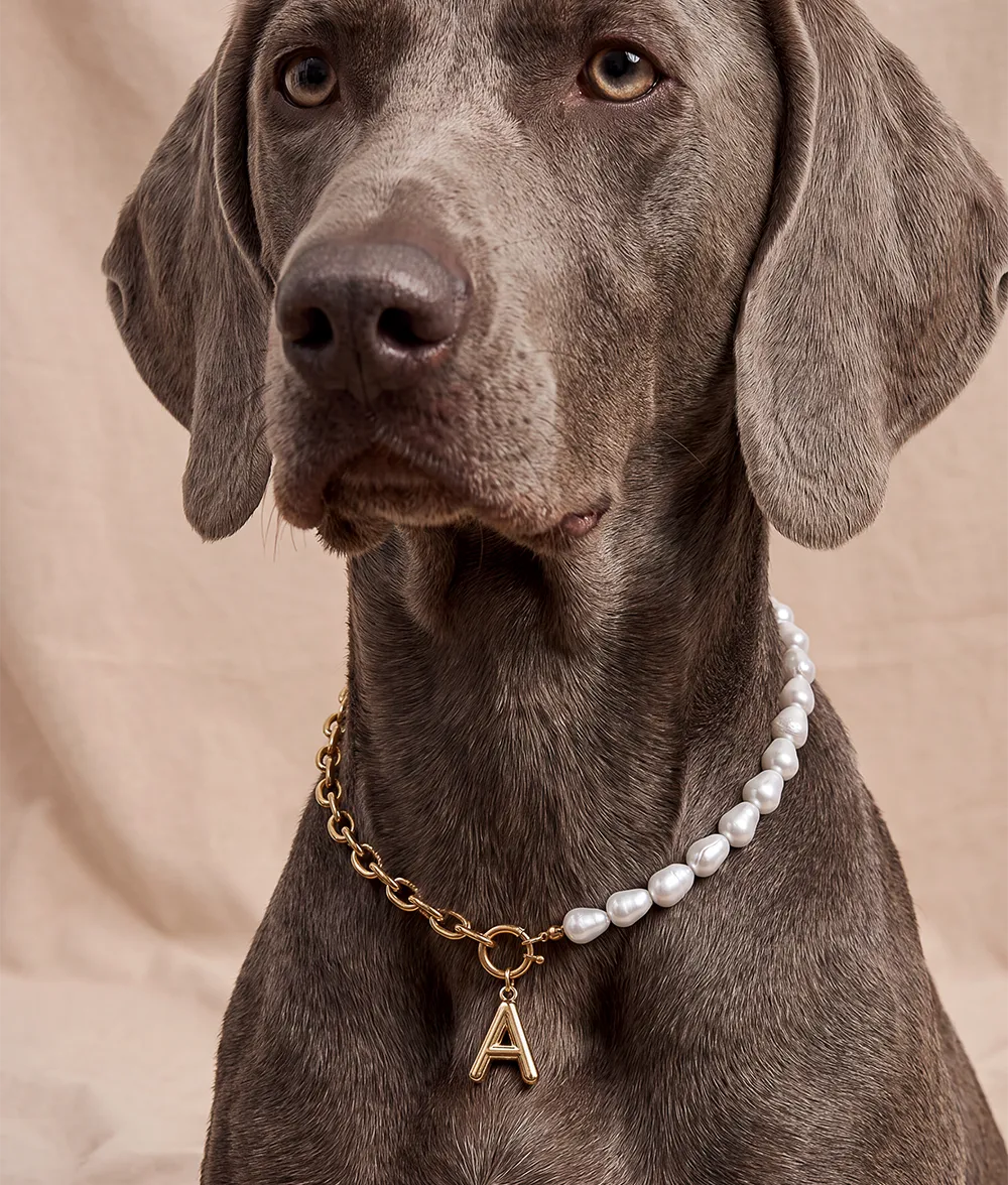Cafide Sira Sira hundehalsbånd guld perler bogstav