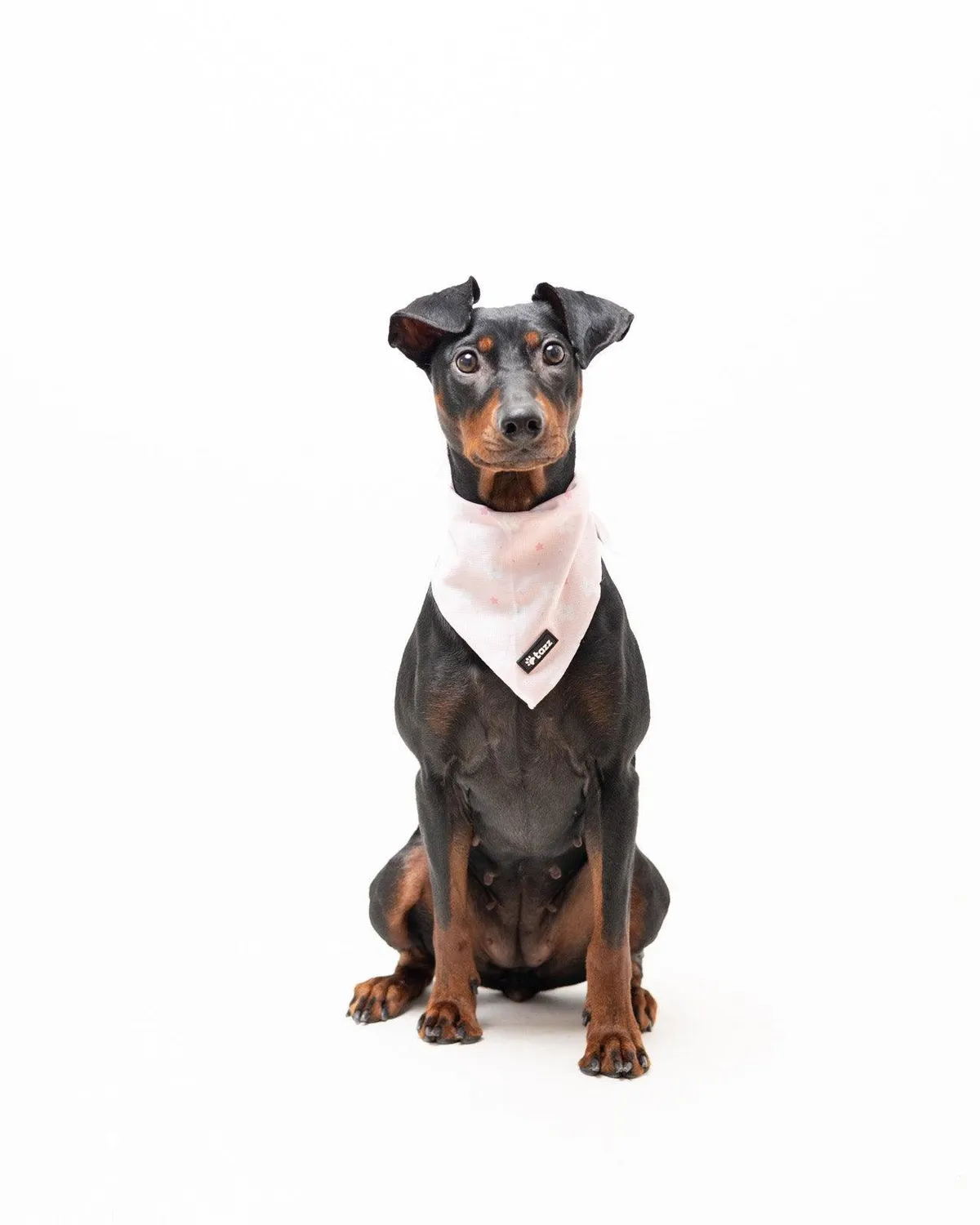 Tazz Pink Flower bandana M – rosa blomster