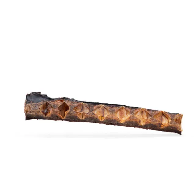 Snack'it Tunben hundegodbid 200g 100% tun