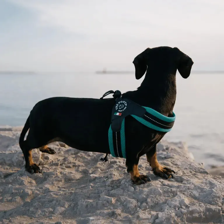 Tre Ponti Easy Fit hundesele 3-deles sæt mesh reflekterende