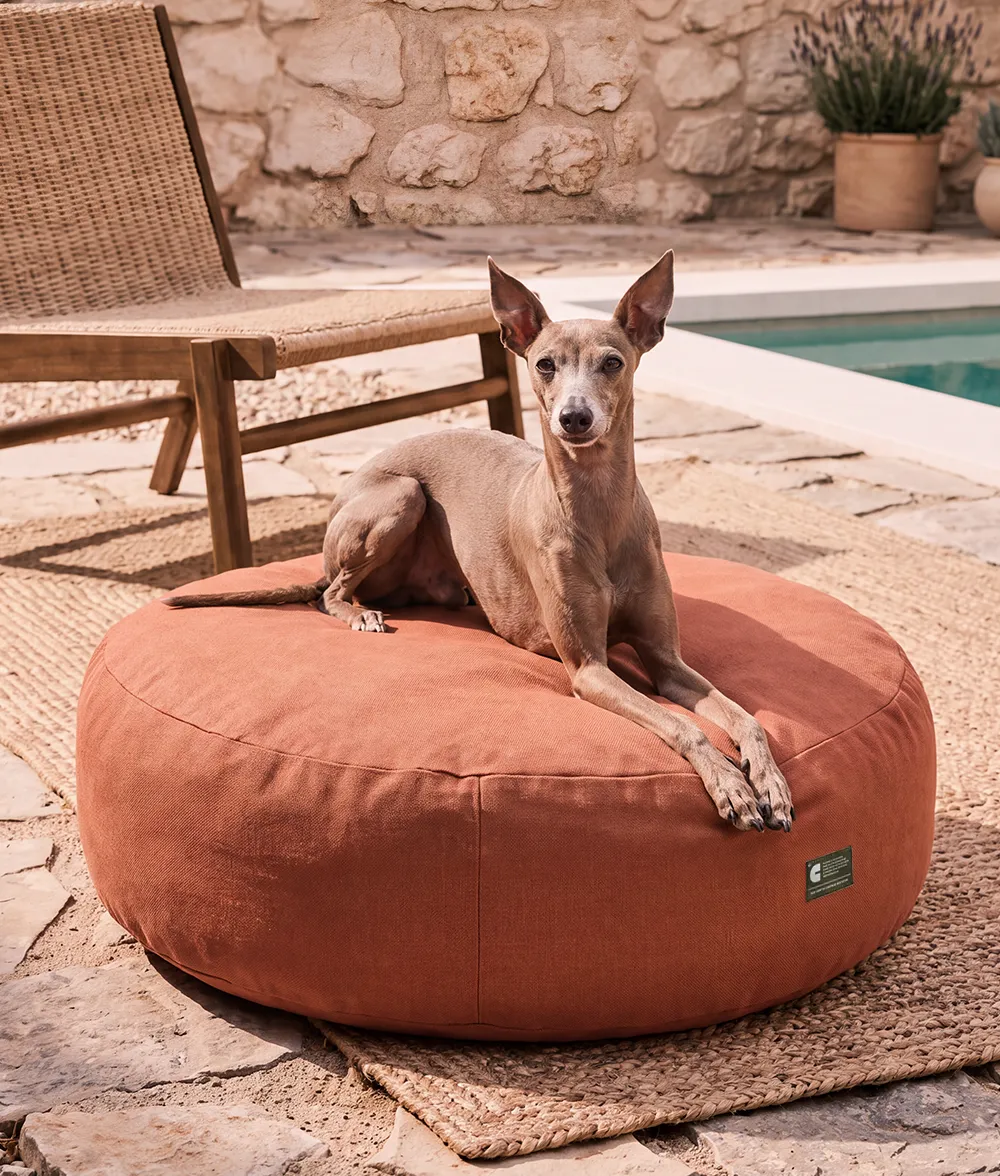 Cafide Calos hundeseng terracotta ude inde vaskbar