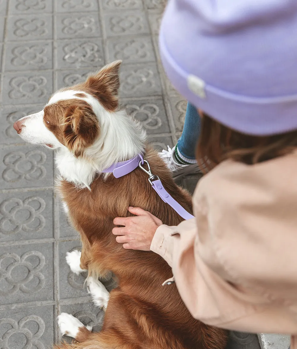 Cafide Gala hundehalsbånd violet blødt
