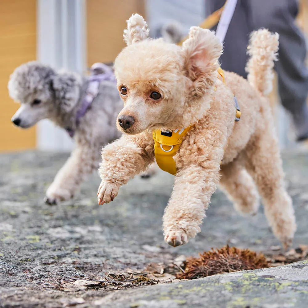 Hurtta Seeker hundesele Raven Y-sele let