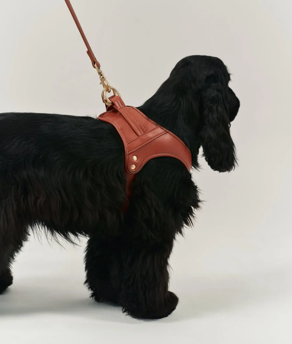 Cafide Jala hundesele M brun vegansk læder
