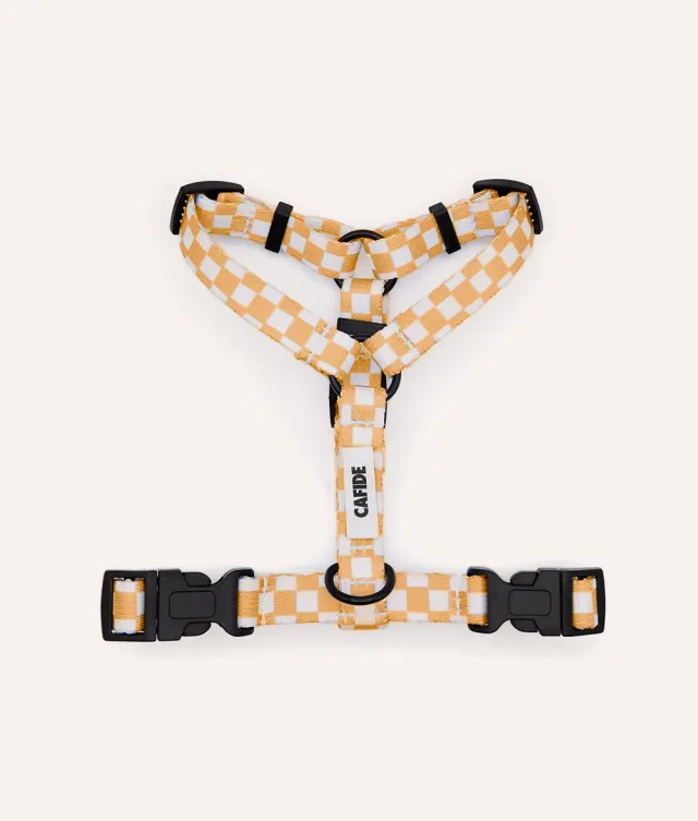 Cafide Juno hundesele fersken orange