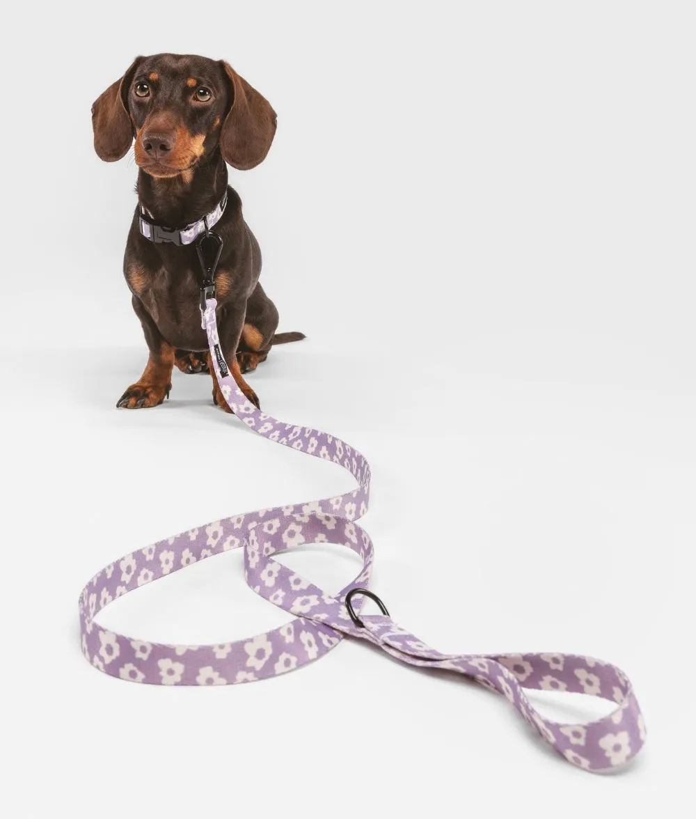 Cafide Juno Violet hundesnor 1,2 m genbrug
