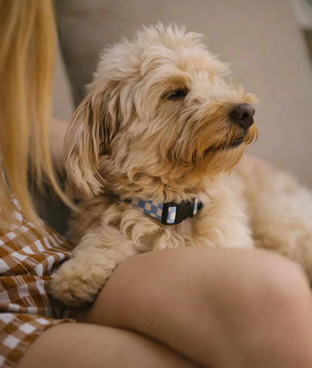Cafide Juno Vichy Blue hundehalsbånd recycled