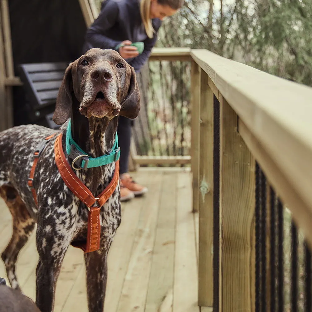 Hurtta Casual Y-Harness hundesele Raven 60-70 vandafvisende