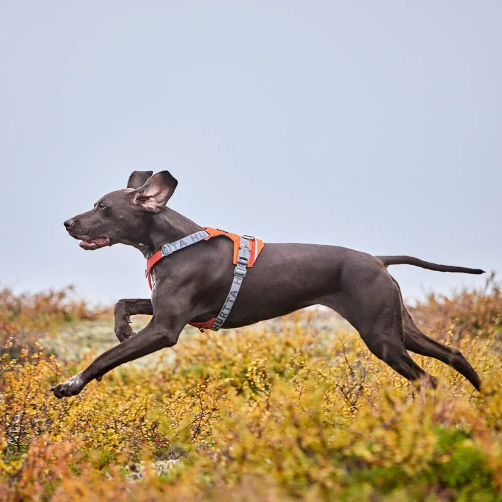 Hurtta Rover hundesele Forest 65-80 til store hunde