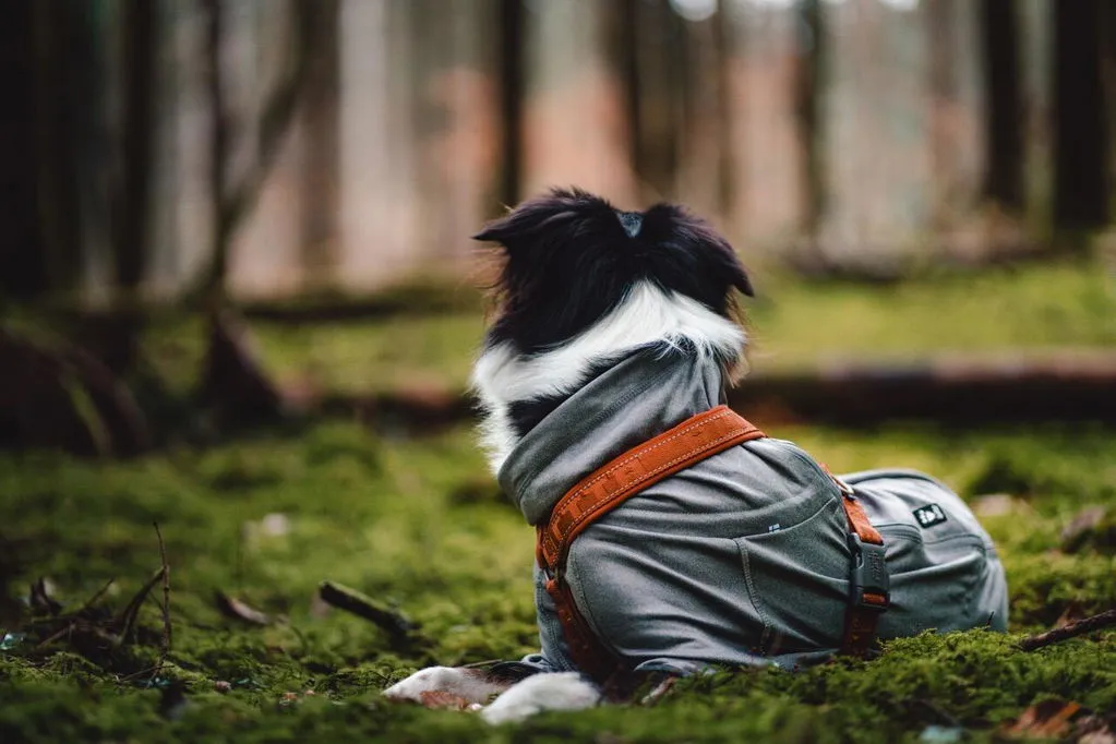 Hurtta Body Warmer hundeoverall Carbon Grey 40M isolerende