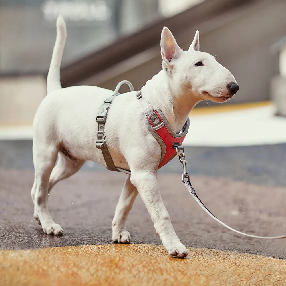 Hurtta Venture No-Pull hundesele Shadow 45-60 anti-træk