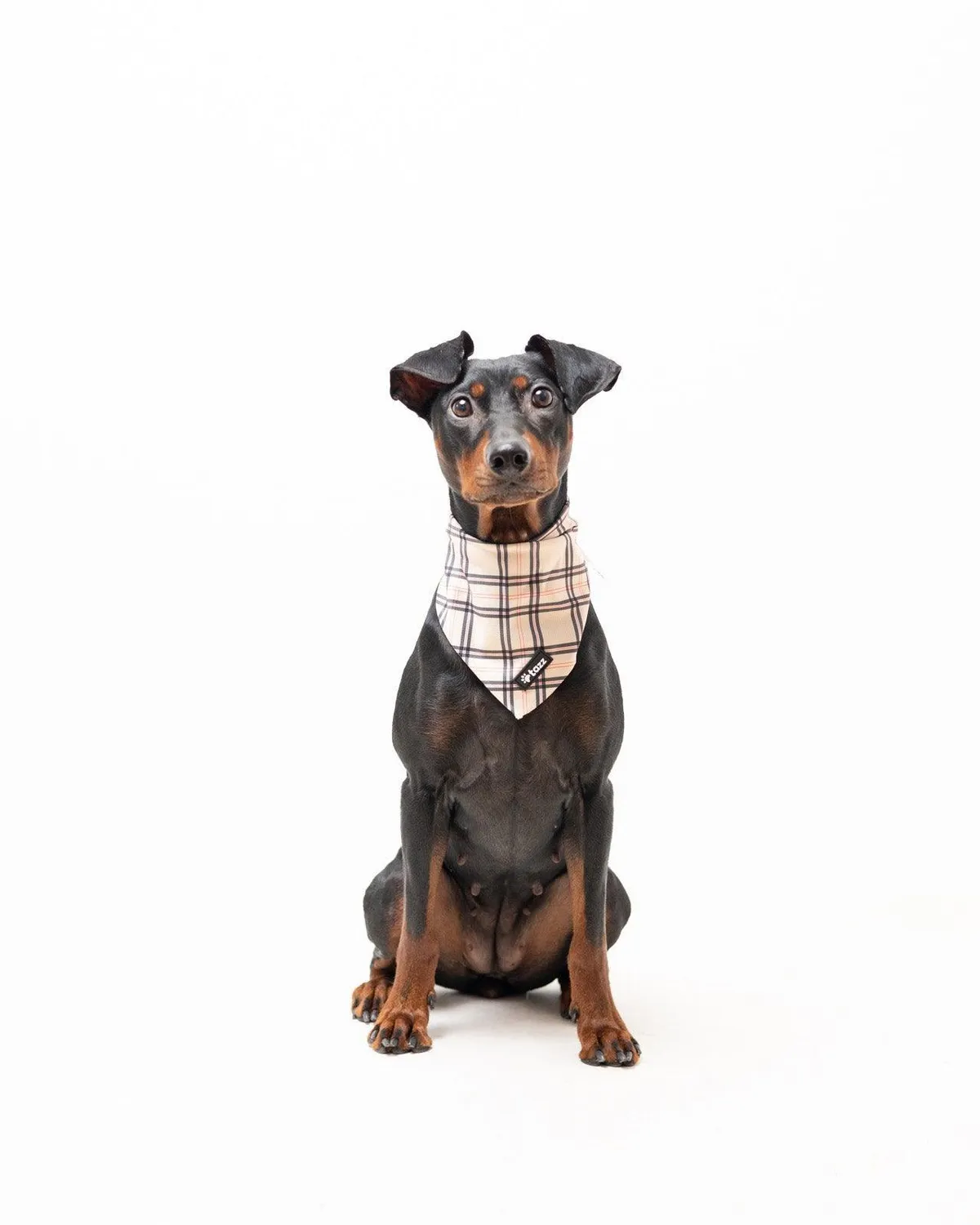 Tazz Furburry bandana ternet M-L vaskbar