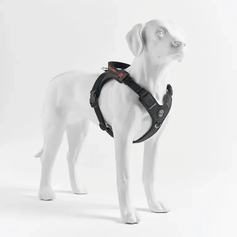 Tre Ponti Harmonia selesæt hundesele + line XL