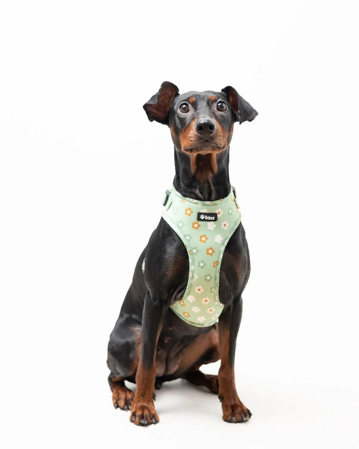 Tazz Flower Power hundesele grøn blomstret