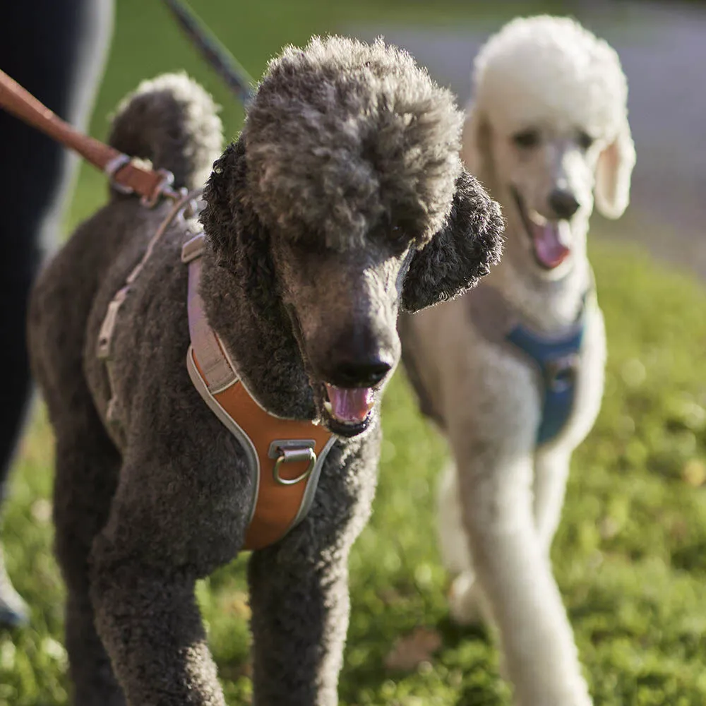Hurtta Venture No-Pull hundesele Shadow 45-60 anti-træk