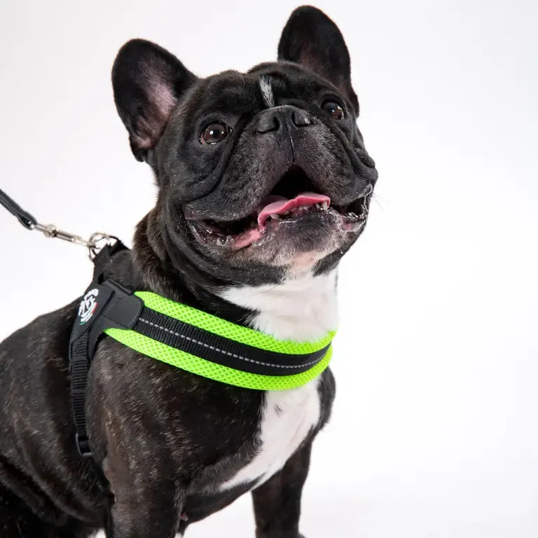 Tre Ponti Easy Fit Adjustable Girth Mesh hundesele refleks