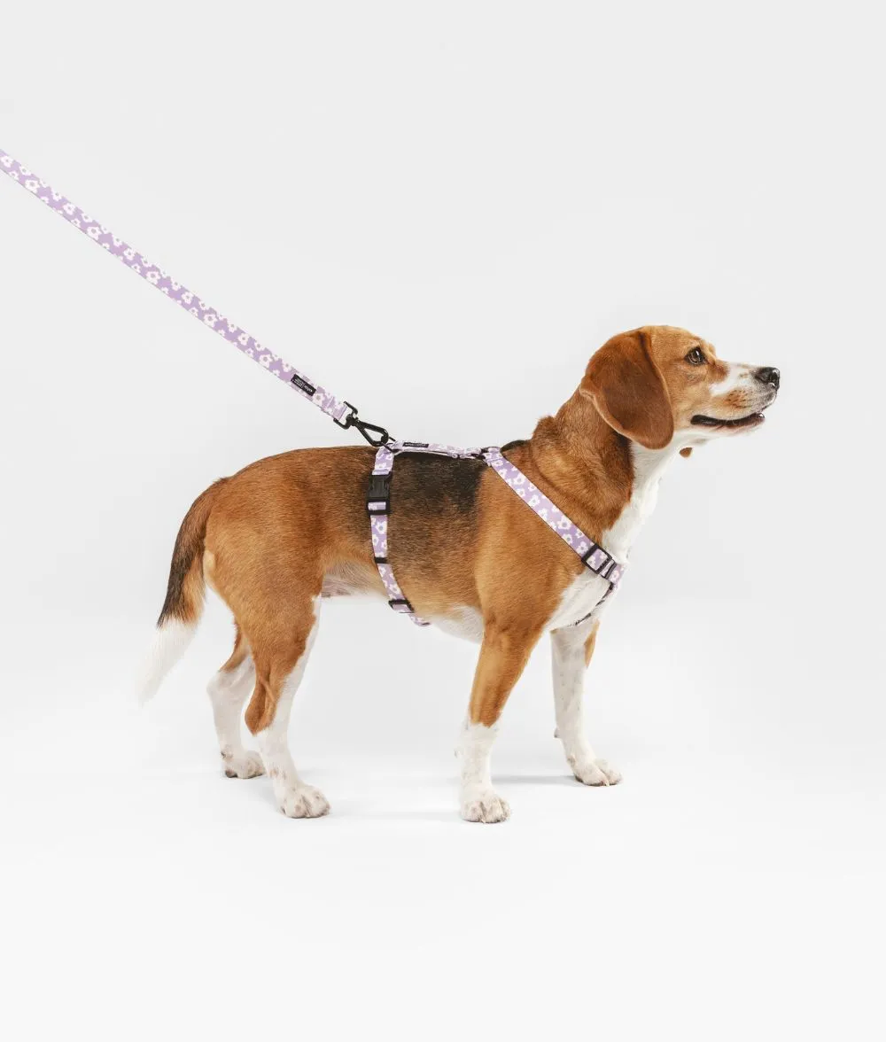 Cafide Juno Violet hundesnor 1,2 m genbrug