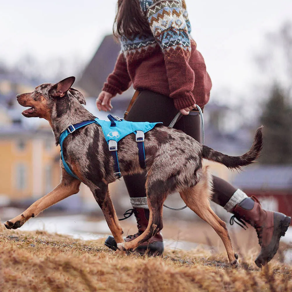 Hurtta Safeguard hundesele Blackberry 55-70 flugtsikker