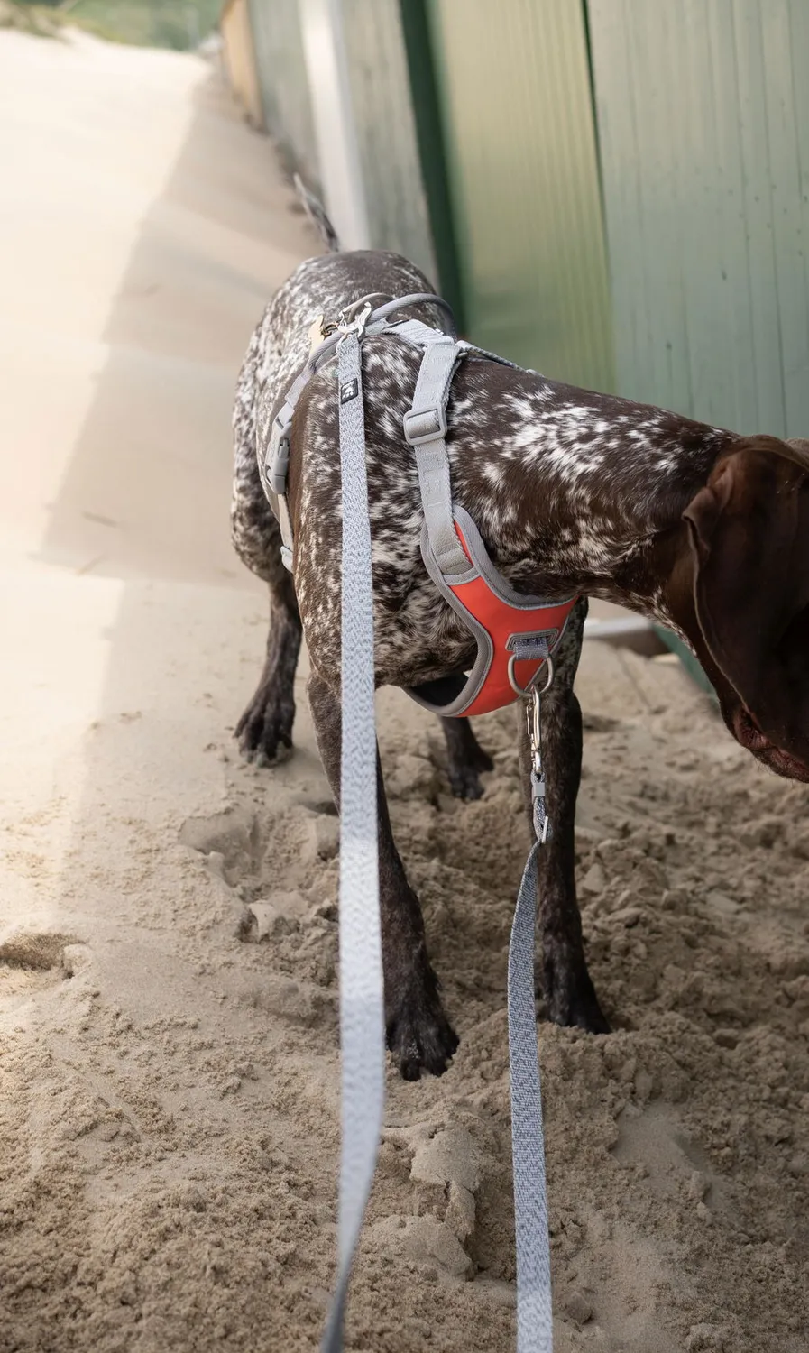 Hurtta Venture No-Pull hundesele Shadow 45-60 anti-træk