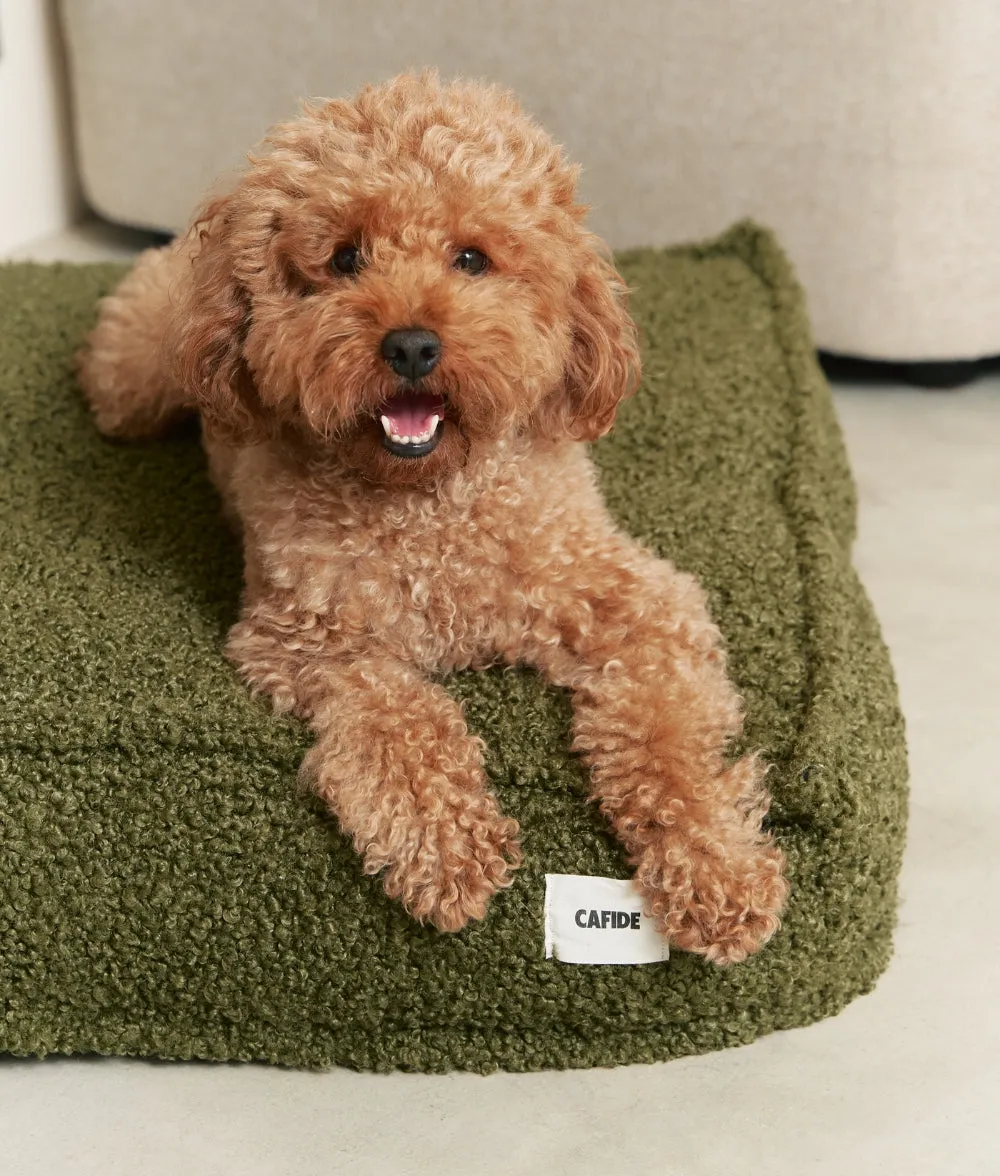 Cafide Cuadra Green Fleece hundeseng grøn plys