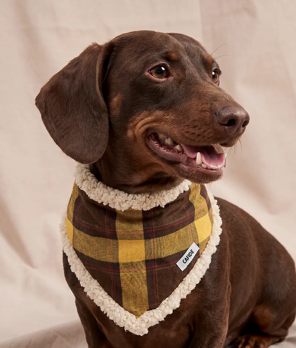Cafide Nata Tartan Mustard hundebandana senneps ternet
