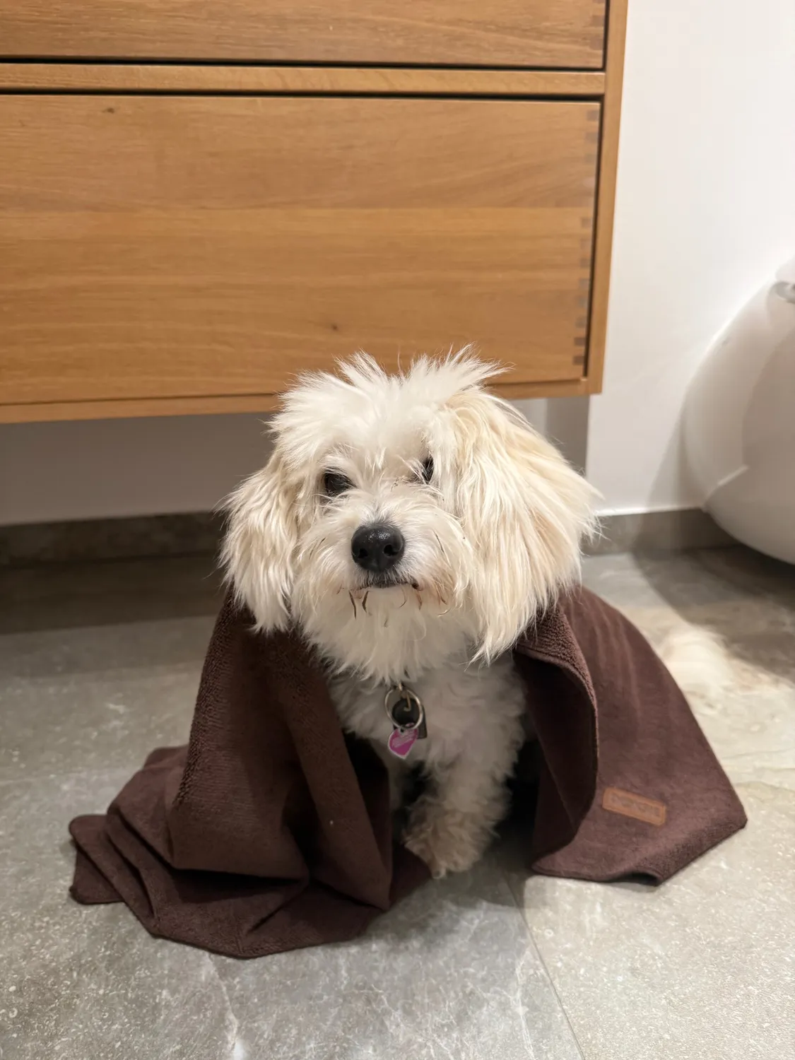 Doksie Towel 01 hundehåndklæde mikrofiber stor