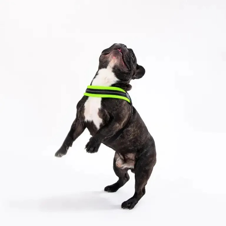 Tre Ponti Easy Fit Adjustable Girth Mesh hundesele refleks