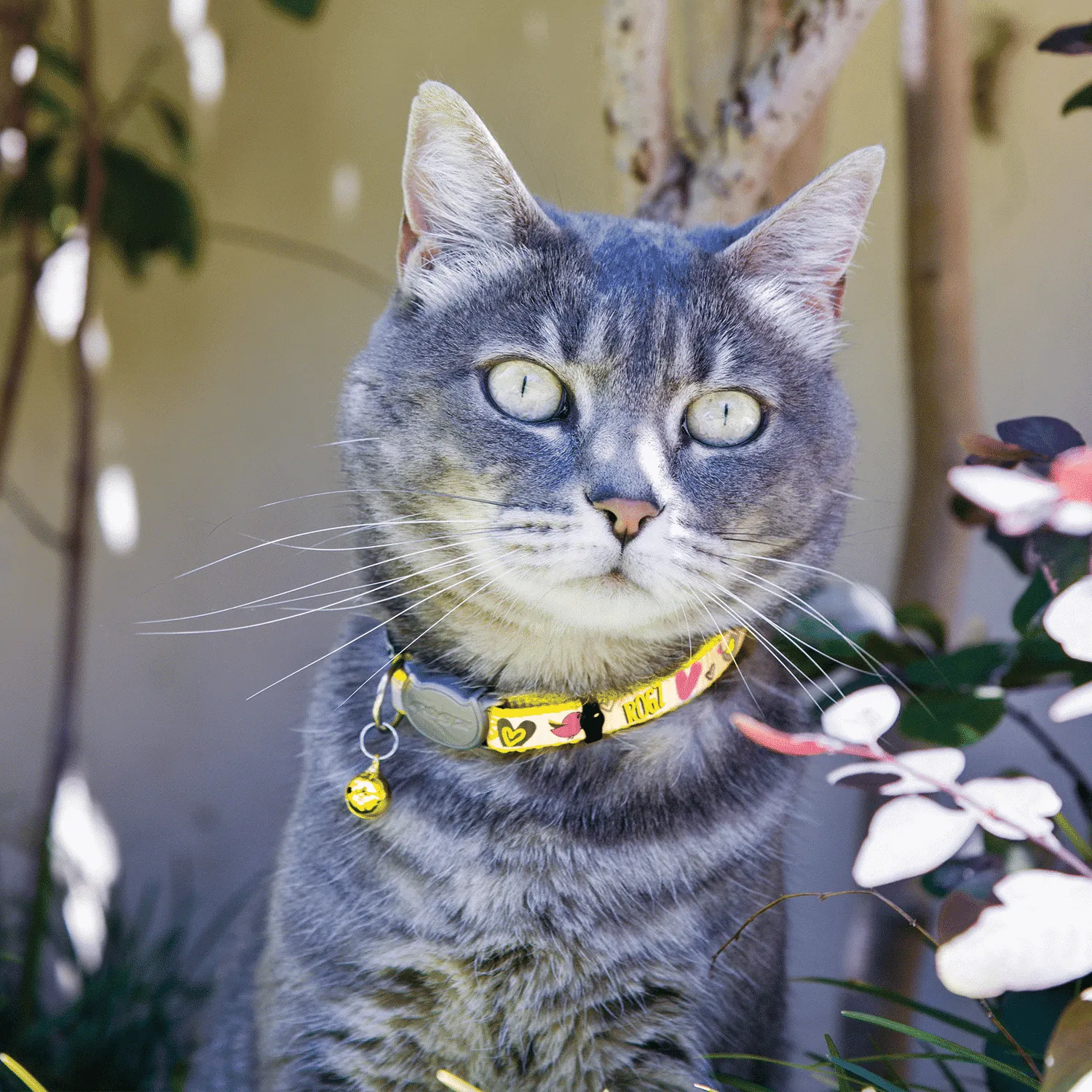 Rogz ReflectoCat Classic kattesele med line refleks