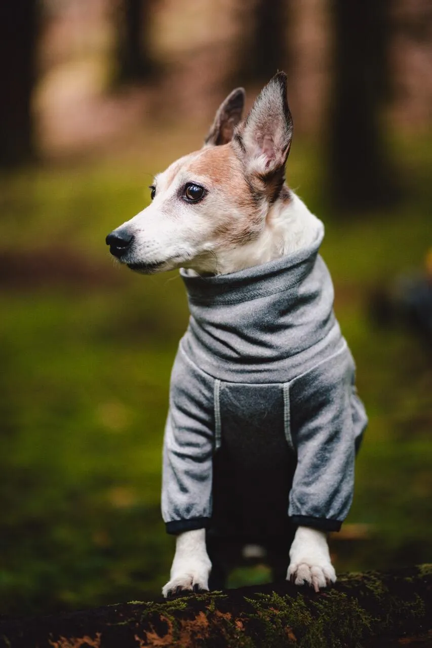 Hurtta Body Warmer hundeoverall Carbon Grey 40M isolerende