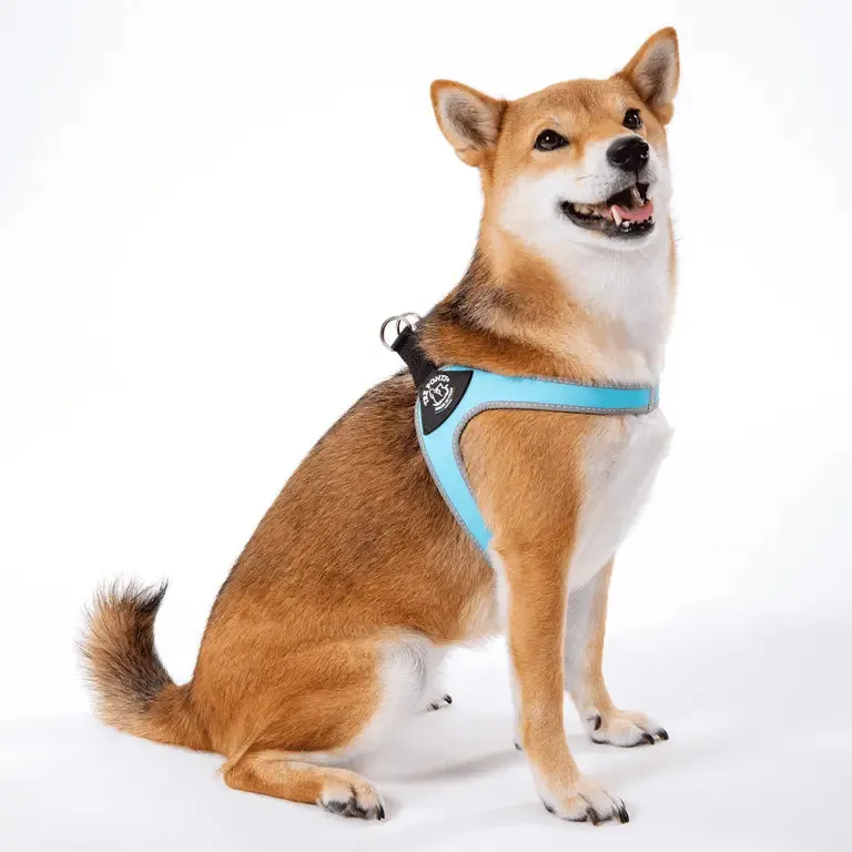 Tre Ponti Easy Fit Click Original hundesele sort refleks